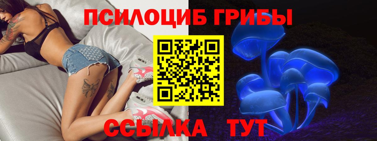 Псилоцибиновые грибы Psilocybine cubensis Полевской